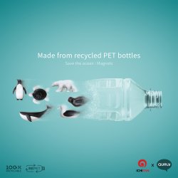 Qualy Save Ocean Magnets