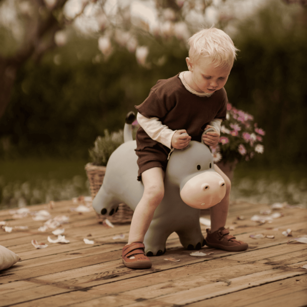 Find That Hippo Holger Hopdjur f�r inom- och utomhuslek