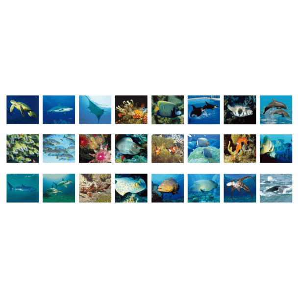 Havdyr Projektor Lommelygte � 24 Billeder