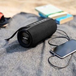 Niceboy RAZE 3 Titan 50W vandtt radio &amp; trdls hjttaler - Sort