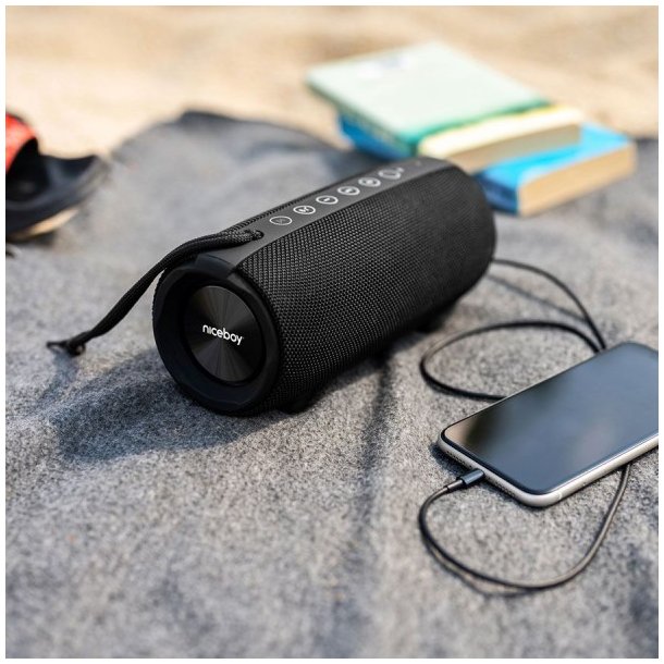 Niceboy RAZE 3 Titan 50W vandtt radio &amp; trdls hjttaler - Sort