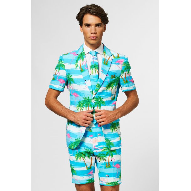 OppoSuits - Summer Flaminguy