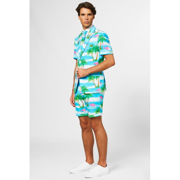 OppoSuits - Summer Flaminguy