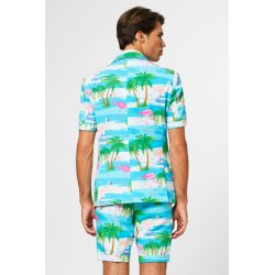 OppoSuits - Summer Flaminguy