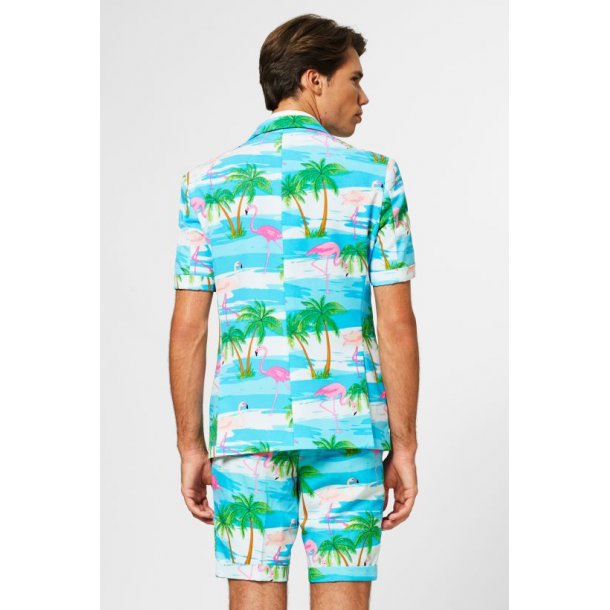 OppoSuits - Summer Flaminguy