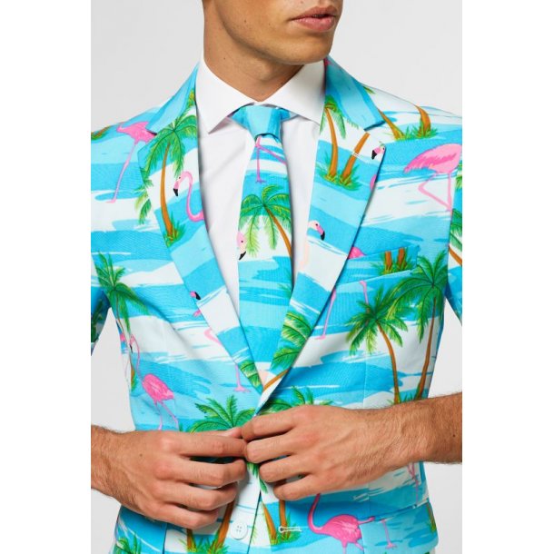 OppoSuits - Summer Flaminguy