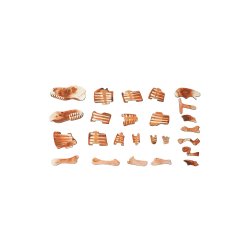 mierEdu Magnetisk legetavle - T-Rex