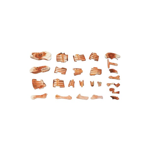 mierEdu Magnetisk legetavle - T-Rex