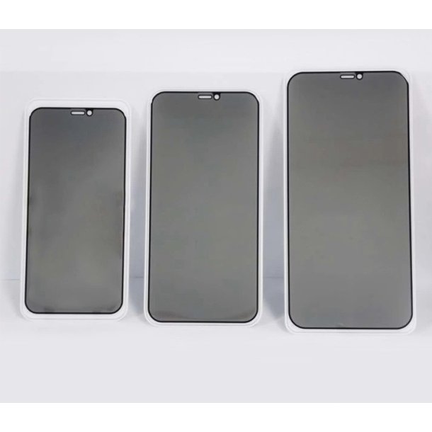 Skrmbeskyttelse (9H glas) - iPhone 12 Pro Max m. Privacy