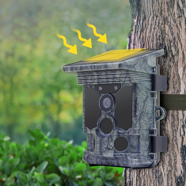 Rollei Wildkamera 4K WiFi Solar