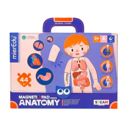 mierEdu Magnetisk legetavle - Min krop