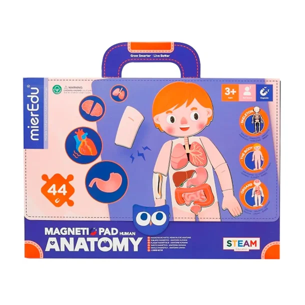 mierEdu Magnetisk legetavle - Min krop