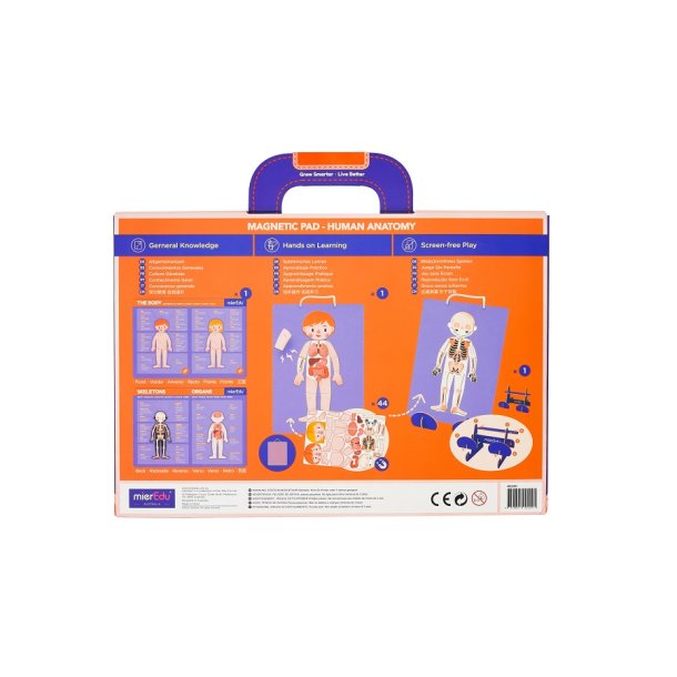 mierEdu Magnetisk legetavle - Min krop