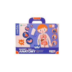 mierEdu Magnetisk legetavle - Min krop