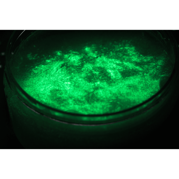 Tuban Slime DIY Slime Kit Glow in the Dark � Lav Selv Slim S�t