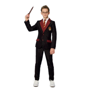 Suitmeister Boys Harry Potter Gryffindor
