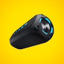 Niceboy RAZE 4 Radion 30W radio &amp; trdls hjttaler