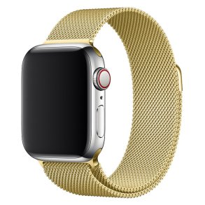 Lippa Apple Watch Rustfri Stlrem 38/40/41 - Guld
