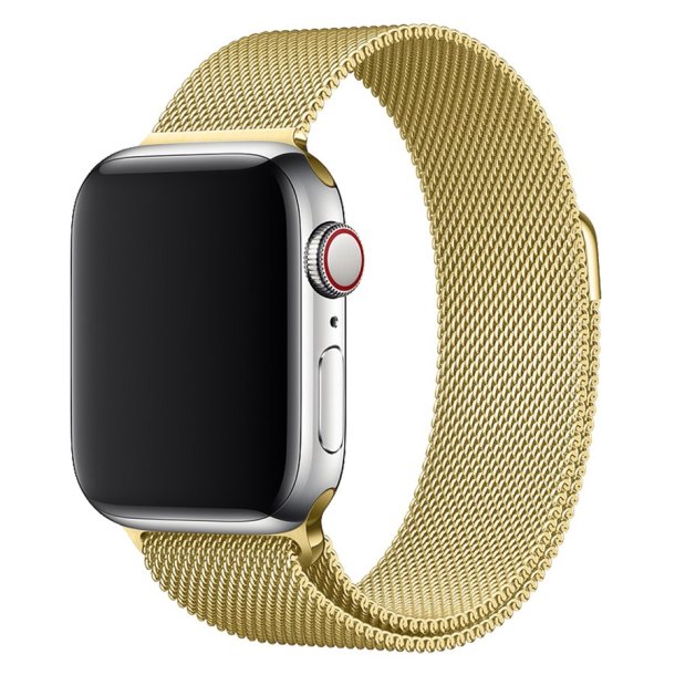 Lippa Apple Watch Rustfri Stlrem 38/40/41 - Guld