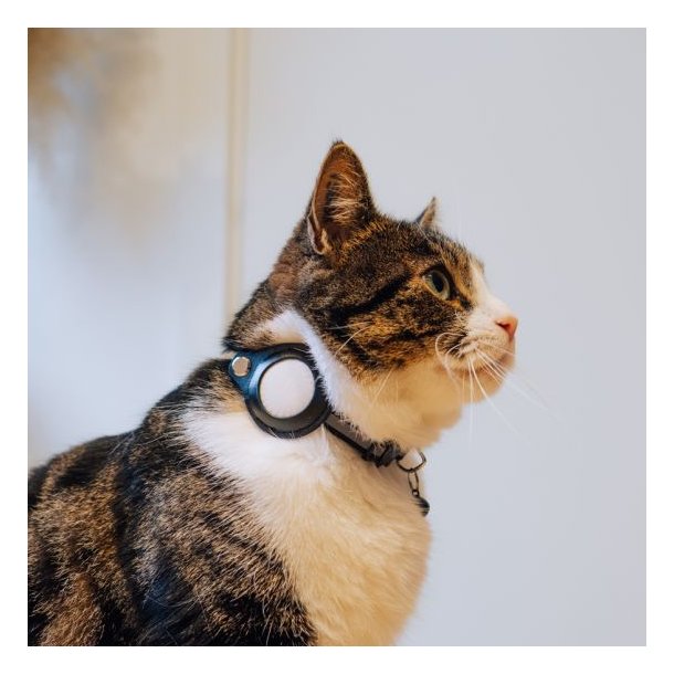 Lippa katthalsband fr AirTag och Smart Finder, 2232 cm, svart