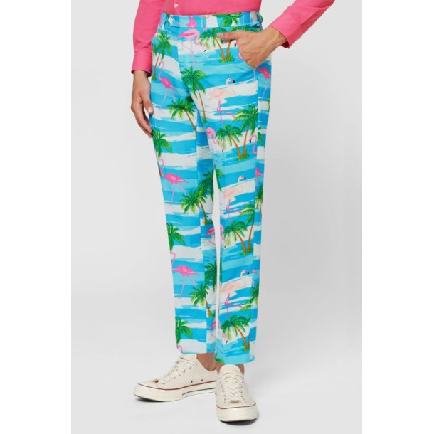 OppoSuits - Flaminguy