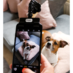 Selfie stick til kæledyr