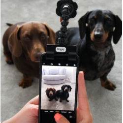 Selfie stick til kæledyr
