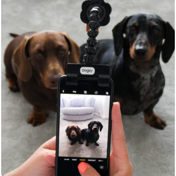 Selfie stick til kæledyr