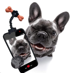 Selfie stick til kæledyr