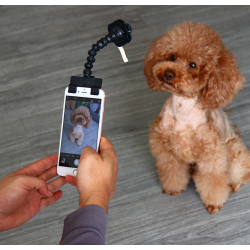 Selfie stick til kæledyr