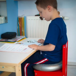 Siddepude, dia. 34 cm - 2 pak, sort/lilla