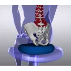Siddepude, dia. 34 cm - 2 pak, lilla/lilla